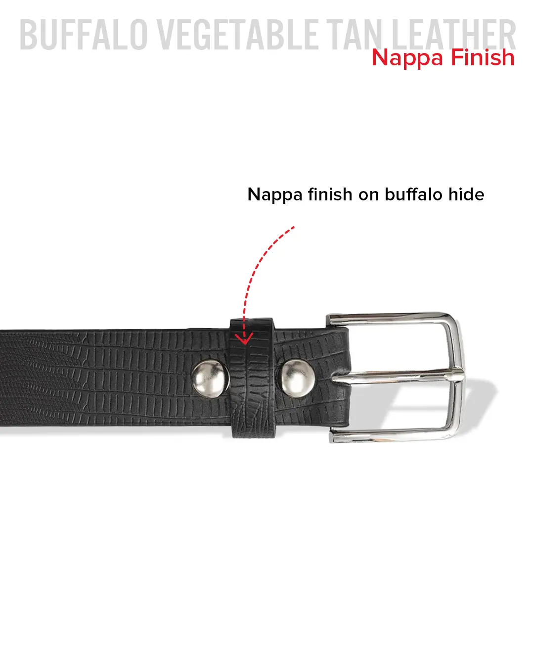 Lizard Belt - Image 4